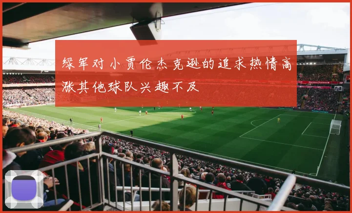 绿军对小贾伦杰克逊的追求热情高涨其他球队兴趣不及