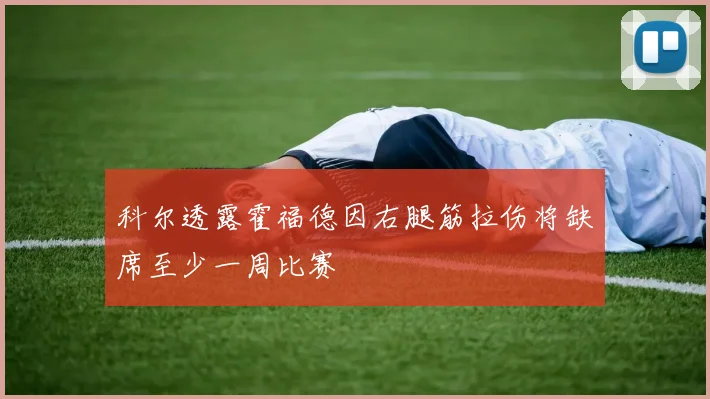 科尔透露霍福德因右腿筋拉伤将缺席至少一周比赛