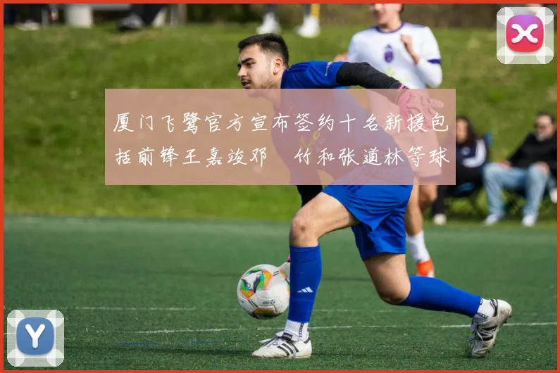 厦门飞鹭官方宣布签约十名新援包括前锋王嘉竣邓棽竹和张道林等球员
