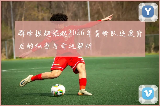 群蜂振翅崛起2026年黄蜂队逆袭背后的秘密与奇迹解析